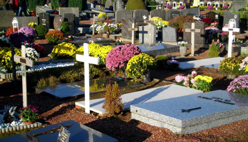 the day the cemetery bursts colour