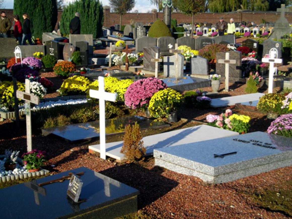 the day the cemetery bursts colour