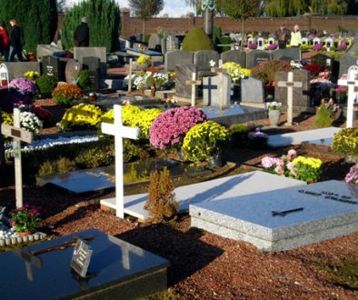 the day the cemetery bursts colour